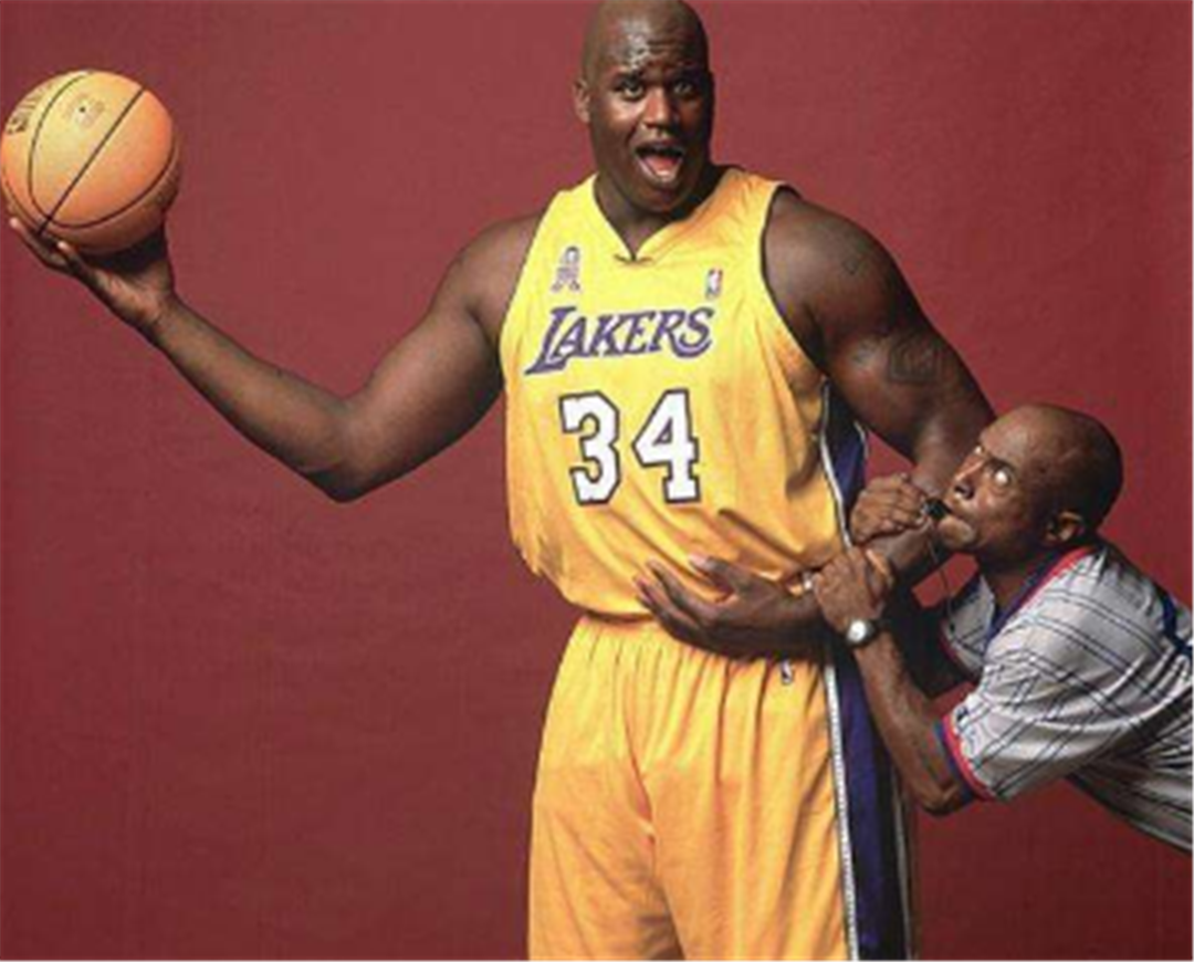 在防线建立 在防线建立